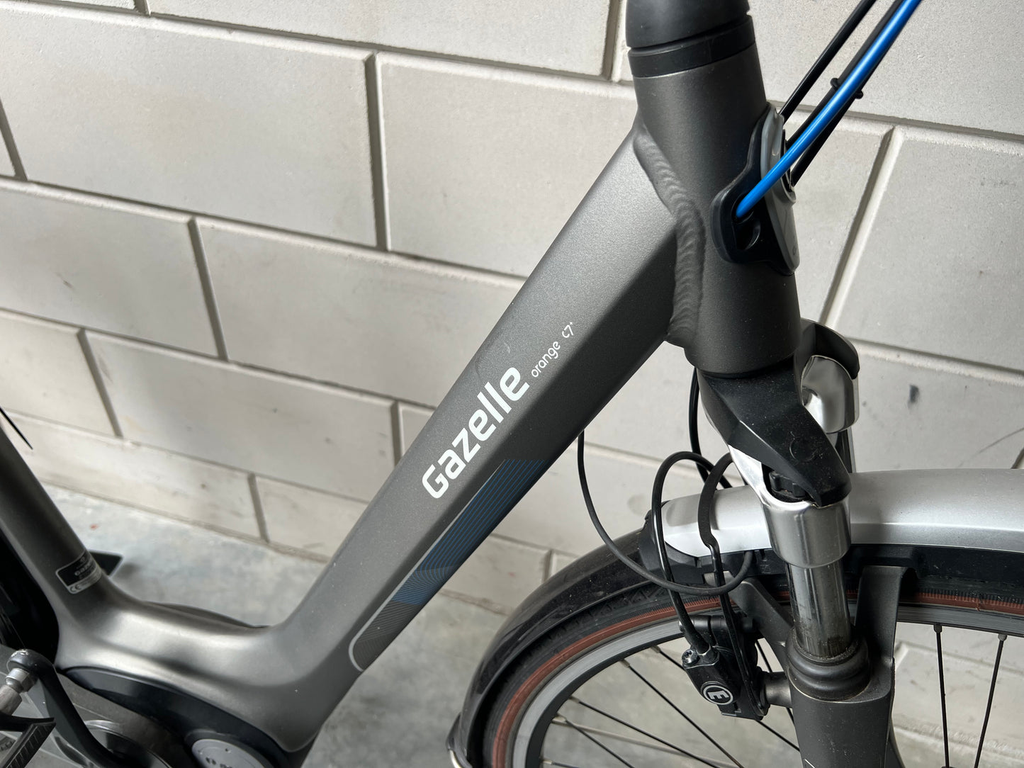 Gazelle Orange C7