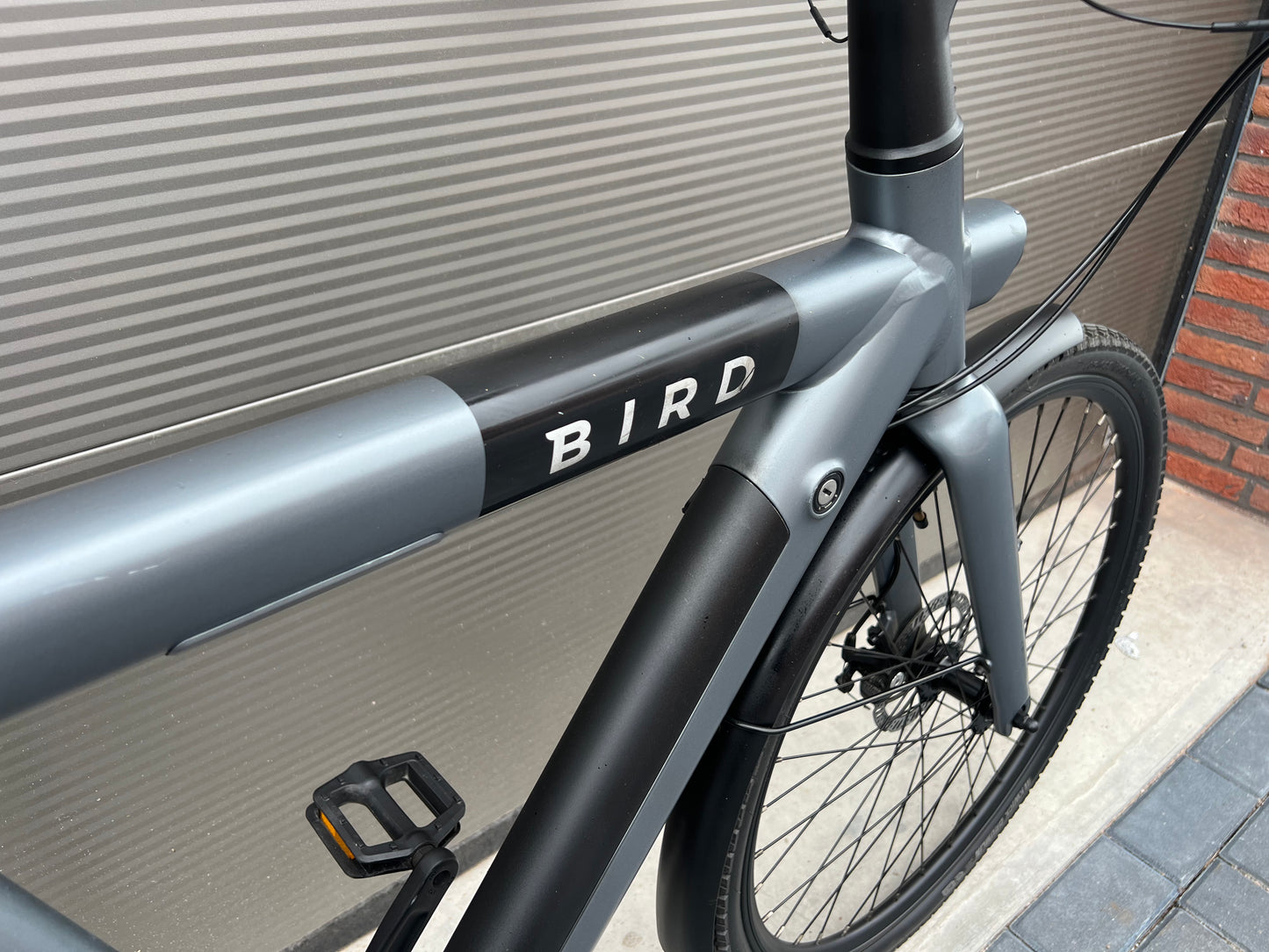 Bird 🦅 e-bike