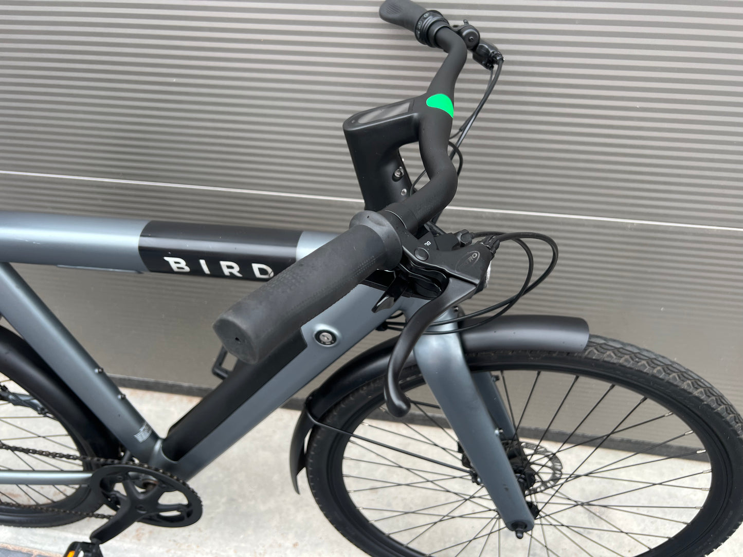 Bird 🦅 e-bike