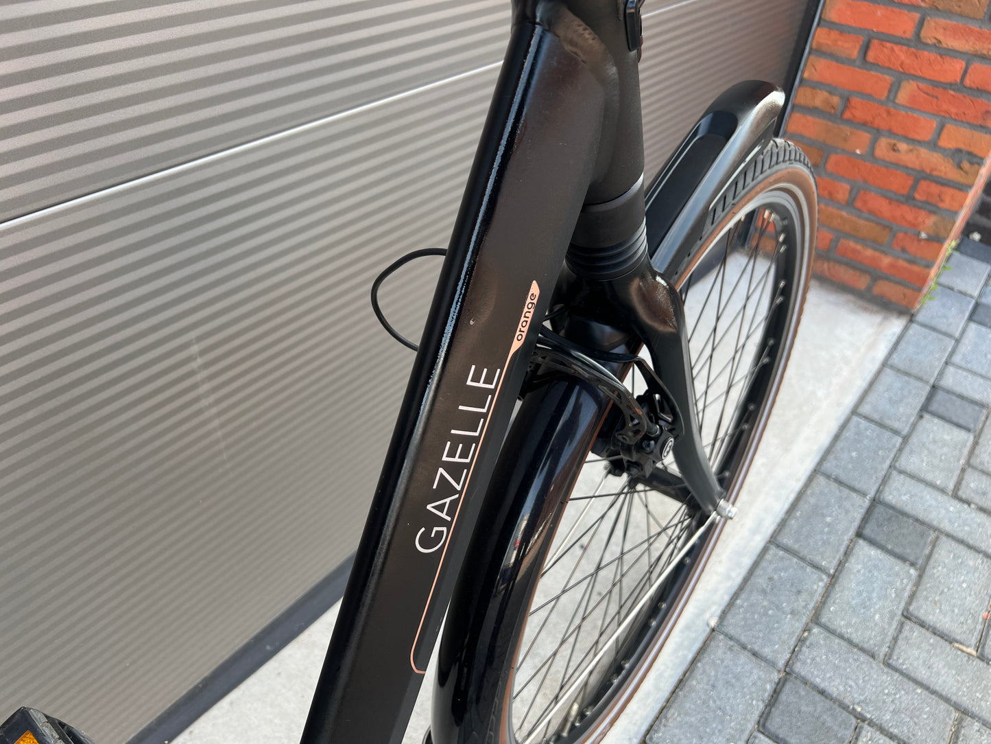 Gazelle Orange
