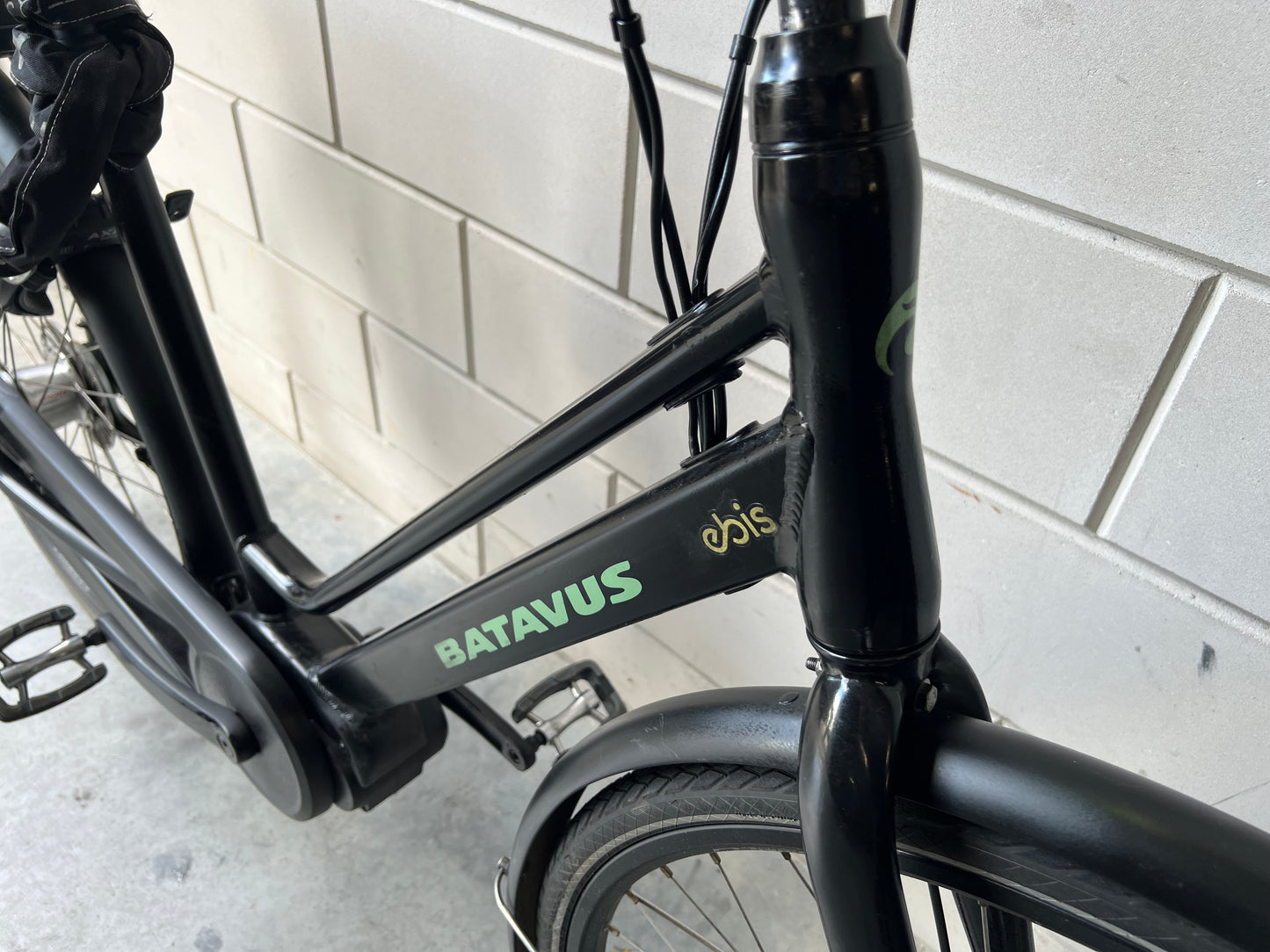 Batavus Fonq