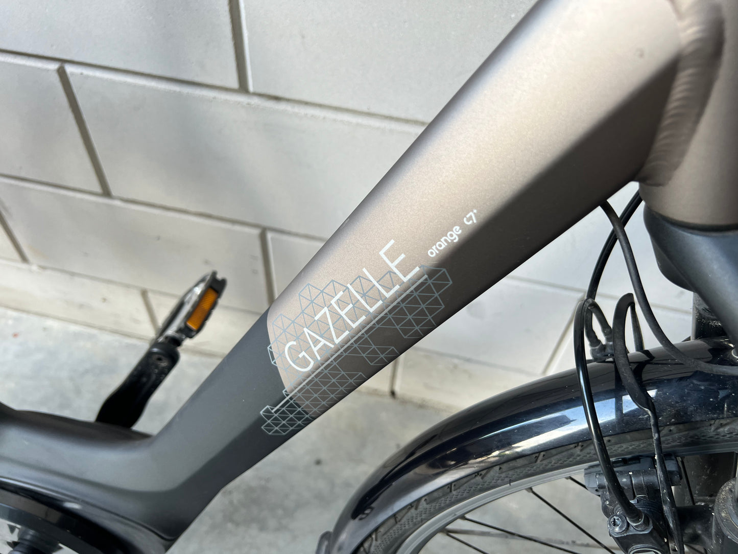 Gazelle Orange C7