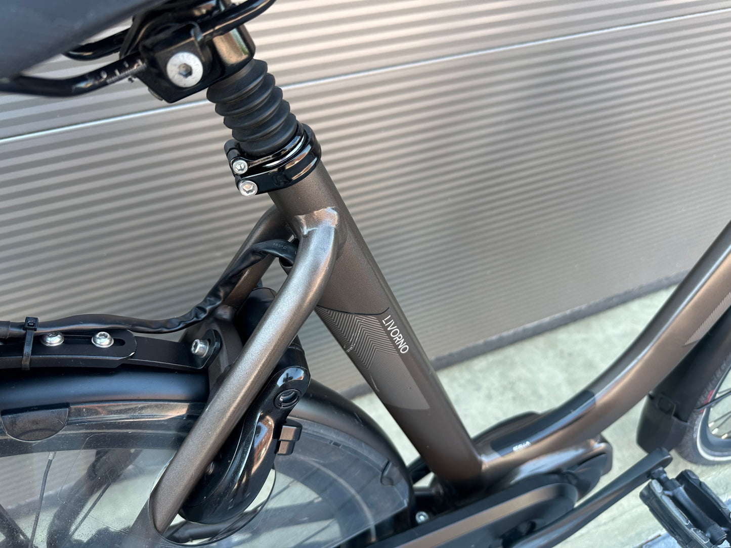 Stella Livorno Shimano