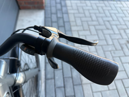 Bird e-bike - maar 750 km