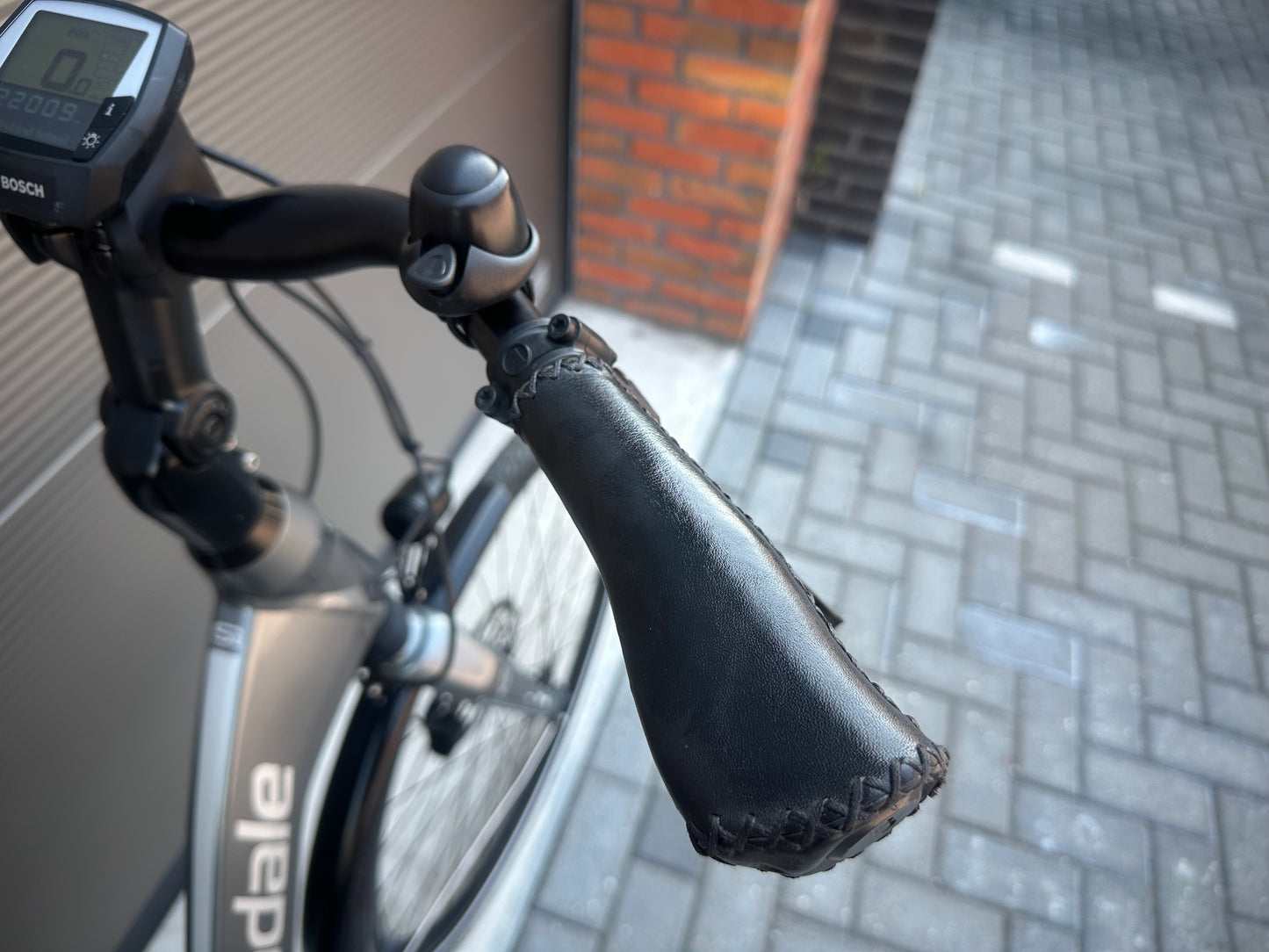 Cannondale Performance Bosch