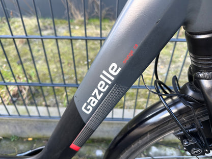 Gazelle orange c8