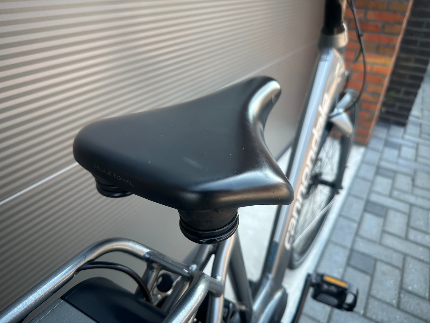 Cannondale Performance Bosch