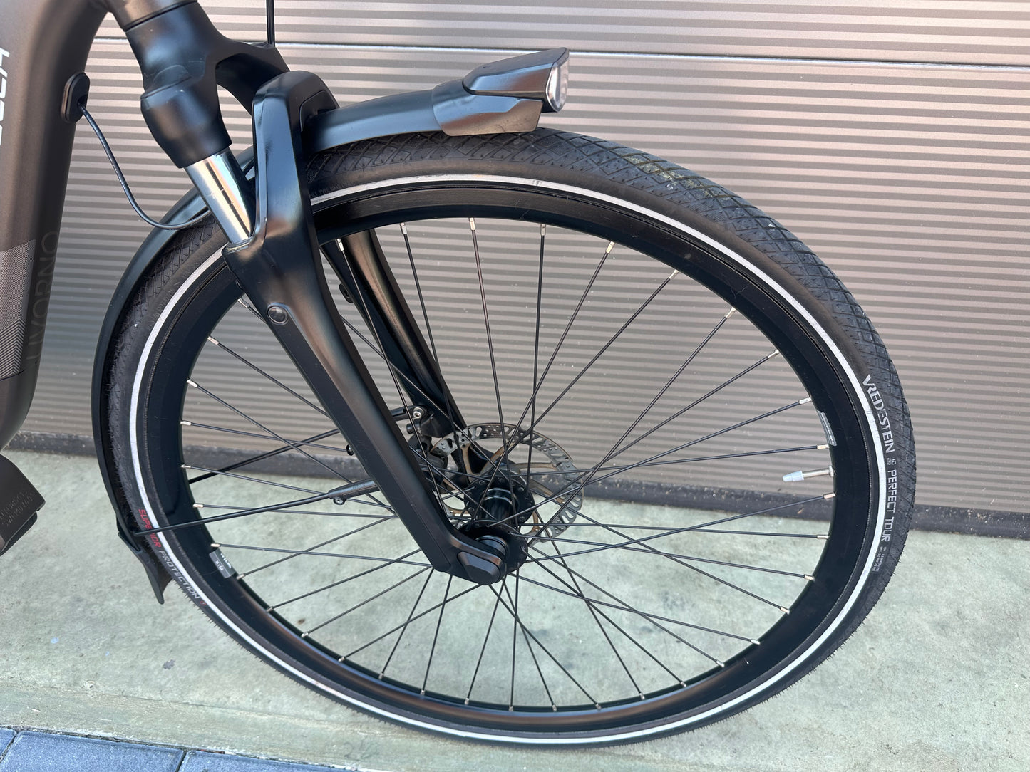 Stella Livorno Shimano