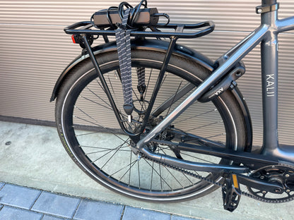 Bafang Kalli 2