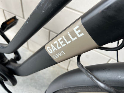 Gazelle Esprit
