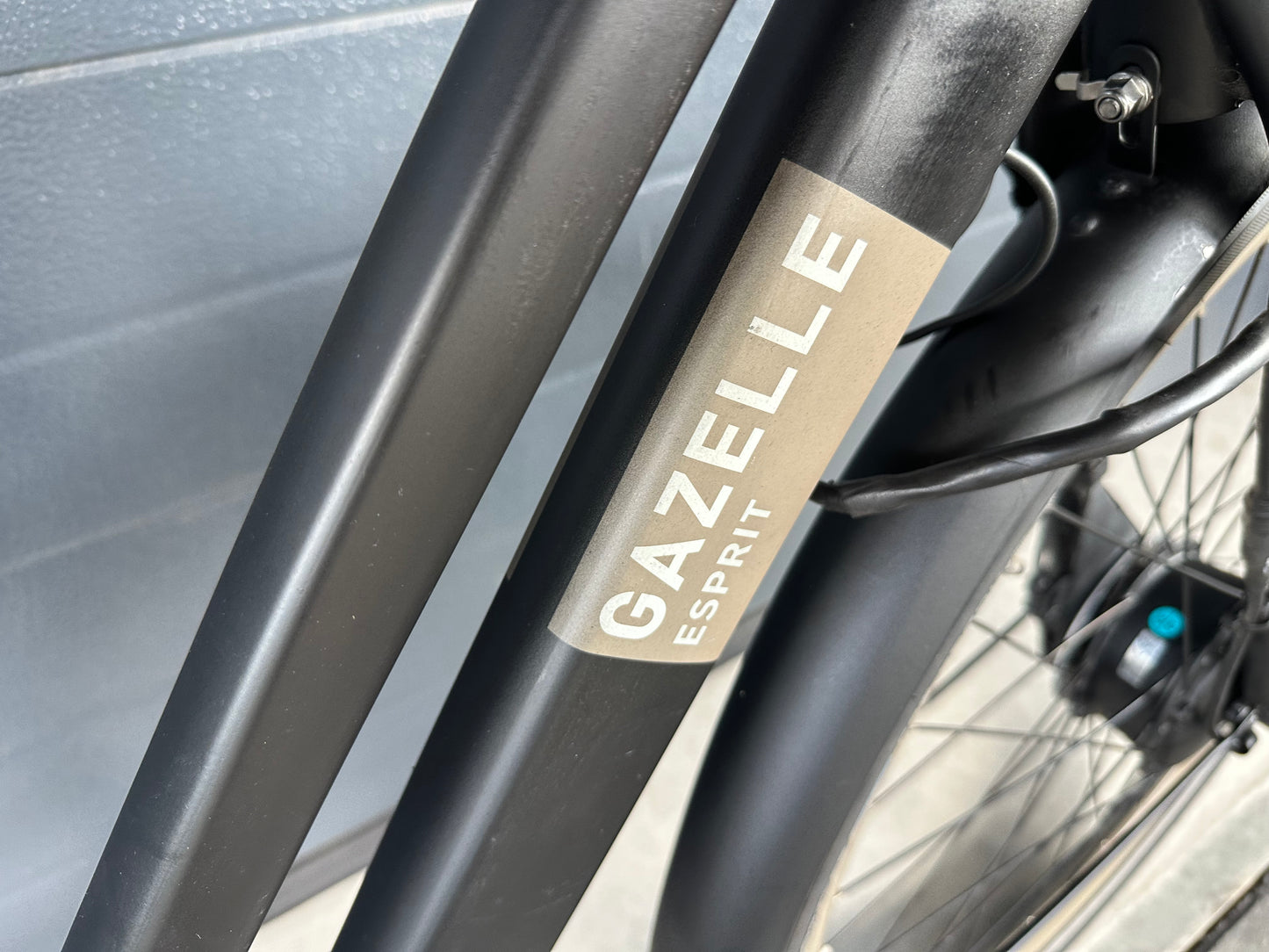 Gazelle Esprit