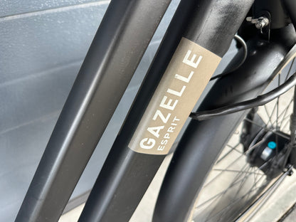 Gazelle Esprit