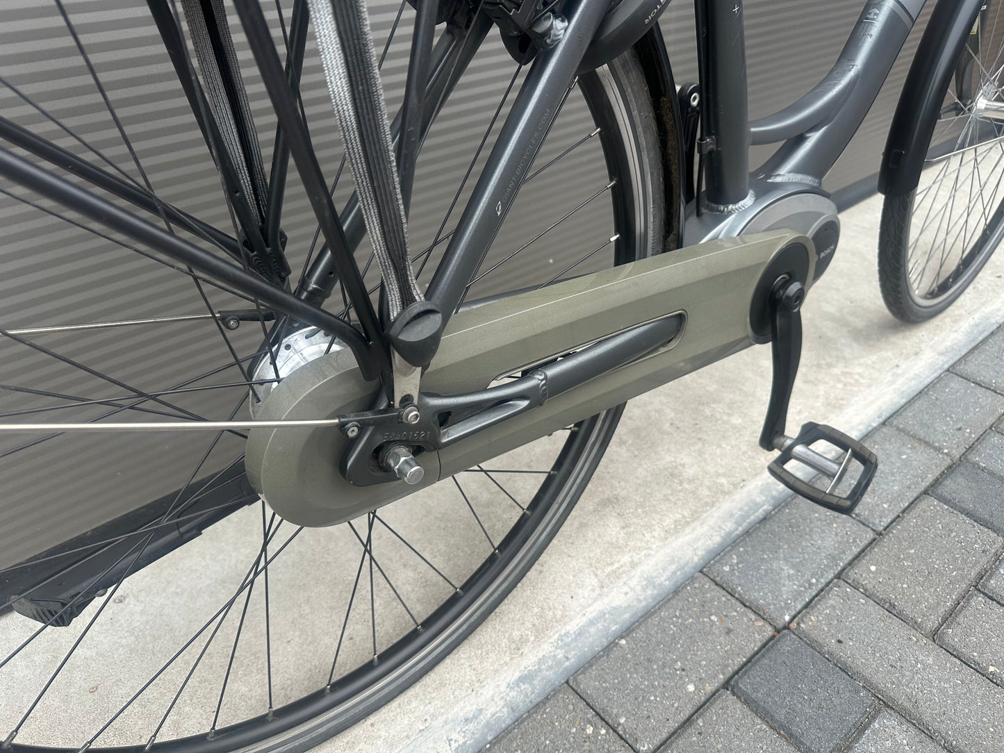 Giant Twist Elegance | 4400 km