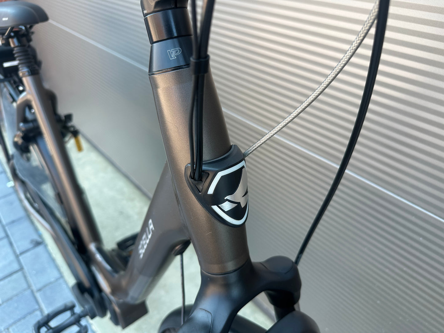 Stella Livorno Shimano