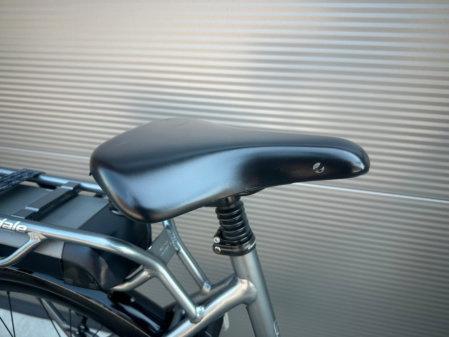 Cannondale Performance Bosch