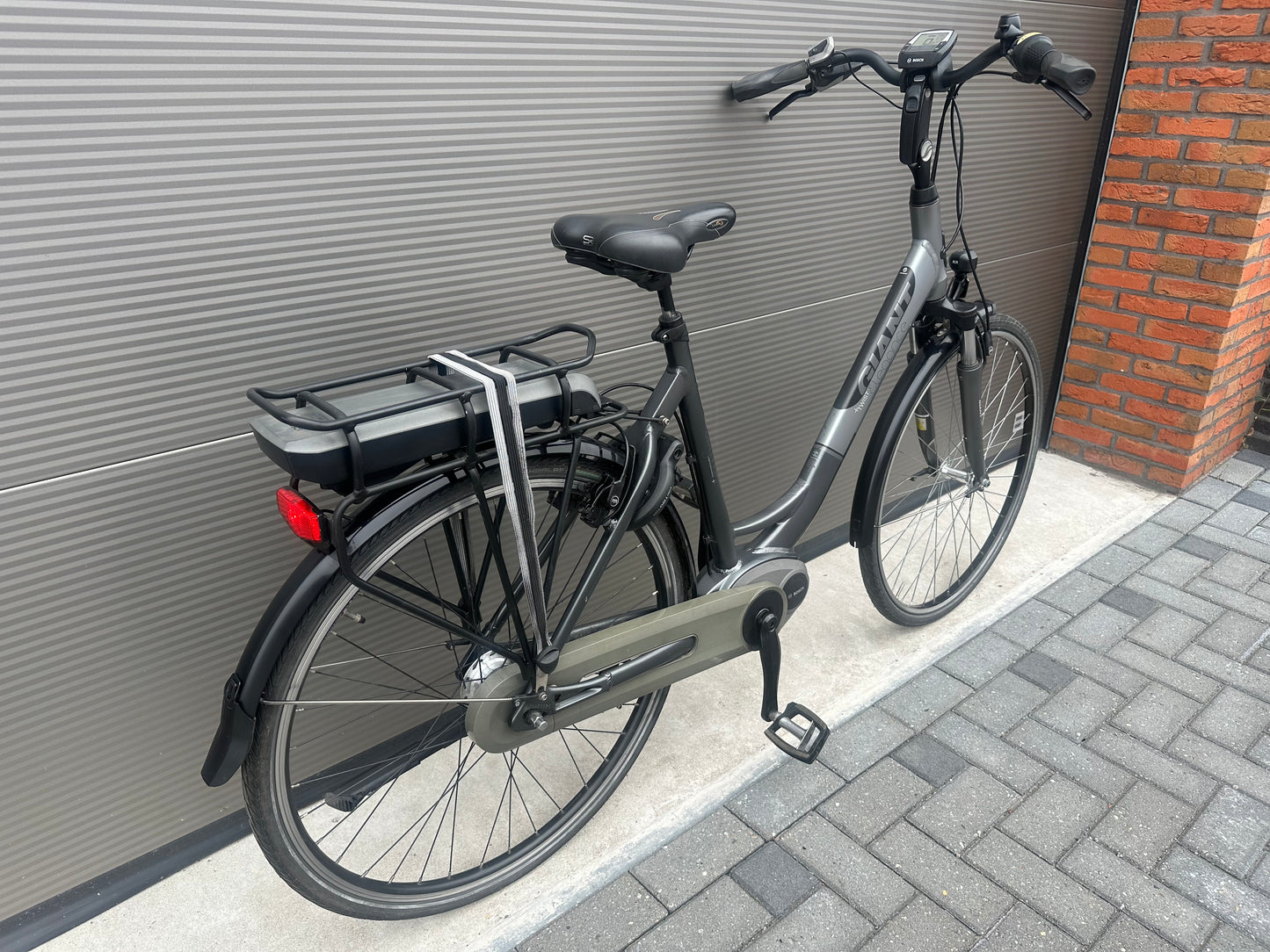 Giant Twist Elegance | 4400 km