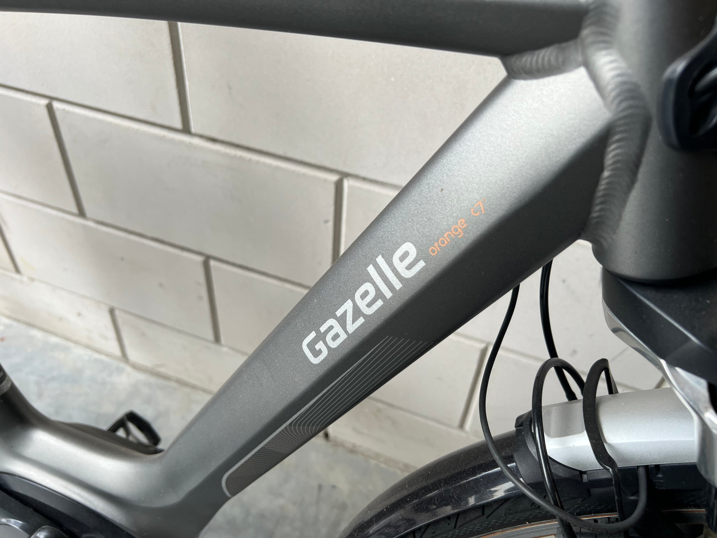 Gazelle Orange C7