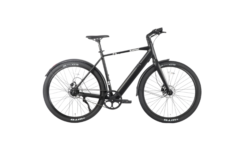 Blueprint B01 - Large