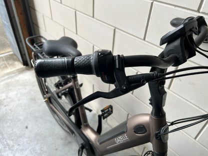 Gazelle Grenoble C7 elite