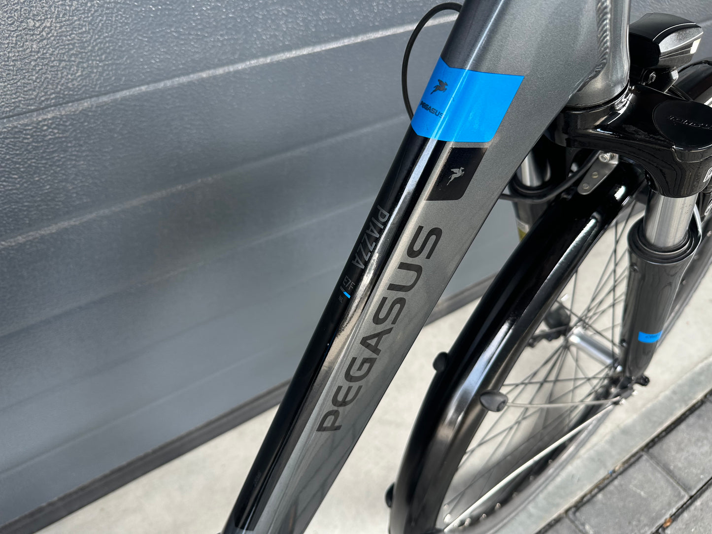 Pegasus Piazza E7s