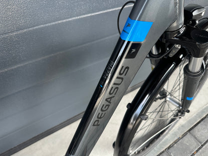 Pegasus Piazza E7s