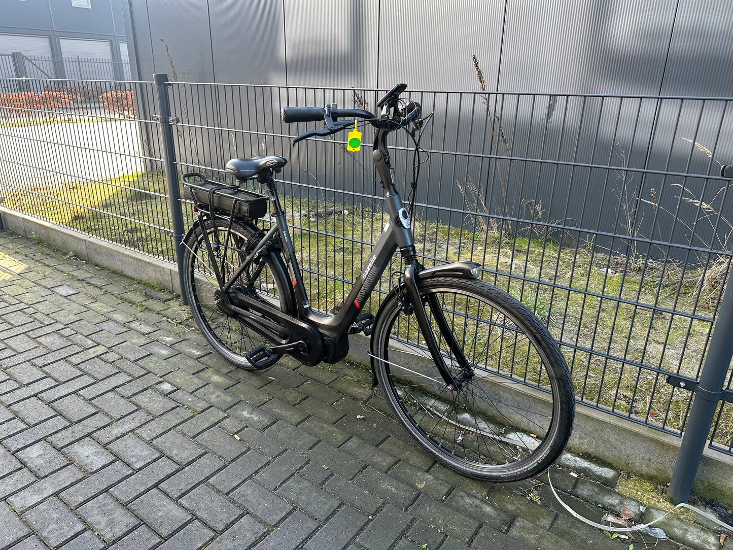 Gazelle orange c8