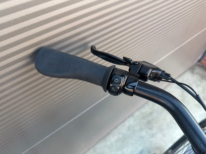 Bird E-bike - 450 km gereden