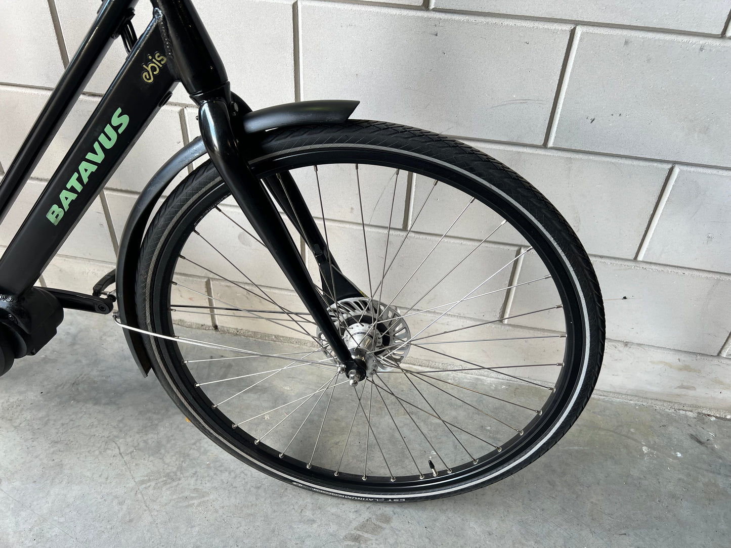 Batavus Fonq